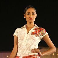 Payal Jain's creation at a fashion show at Hyatt Regency